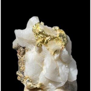 Gold on Quartz - Natural California Gold Specimen in Perky Display Box - #8
